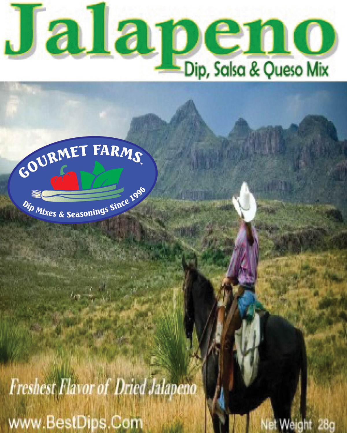 Green Onion Dip and Seasoning Mix 